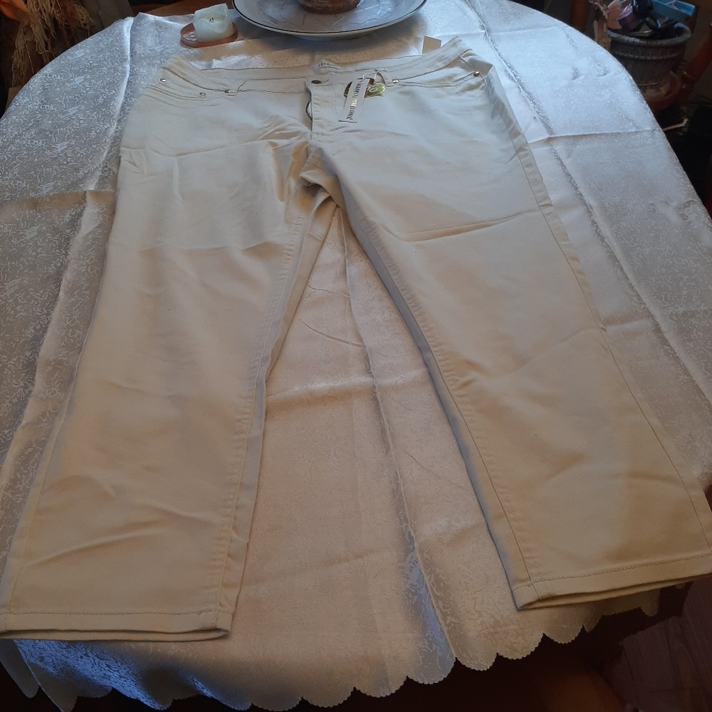 Ladies clothing plus size